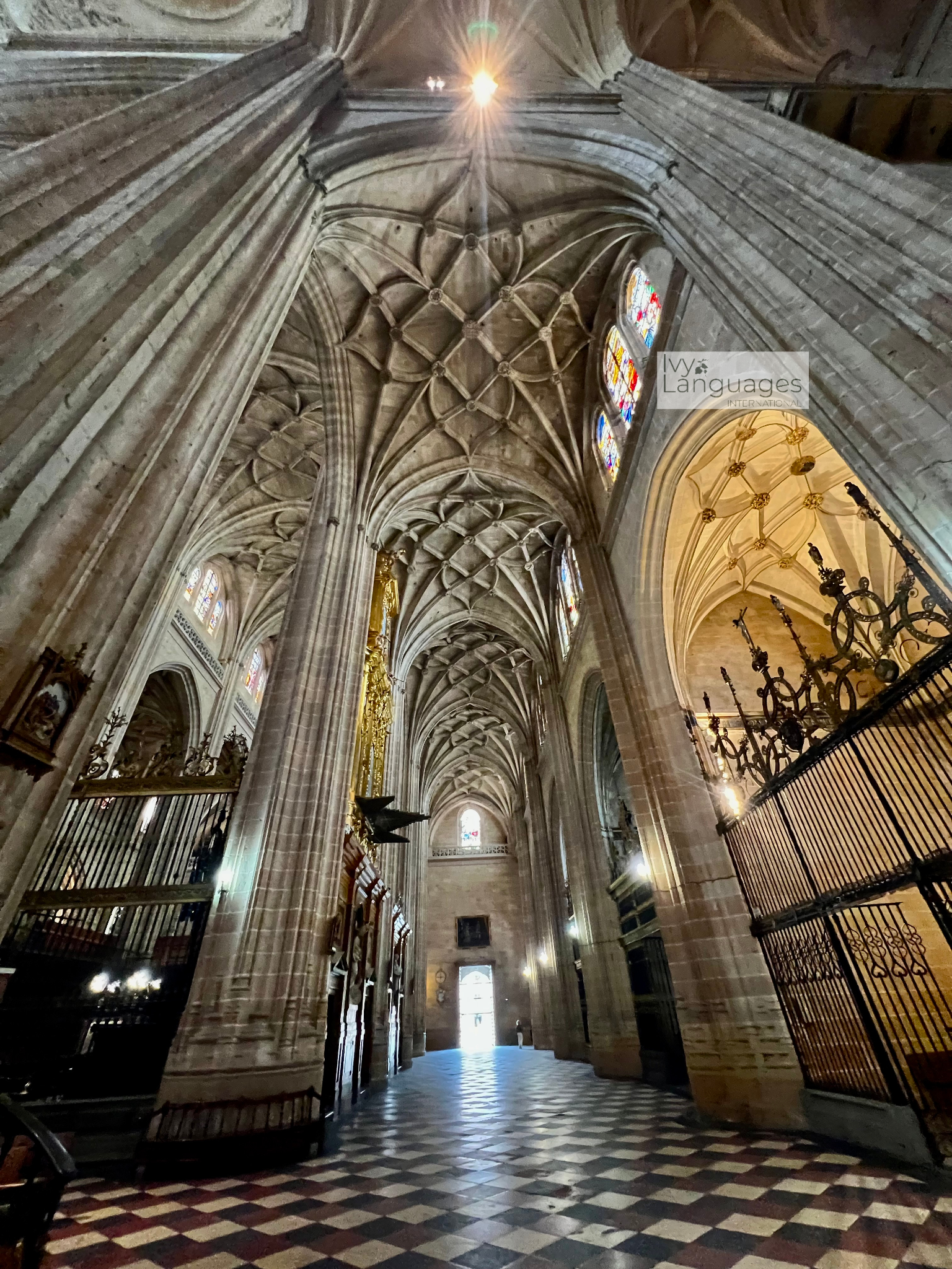 Infographic showing English for beginners (starter strategies) with daily practice tips and a simple 30-minute routine.