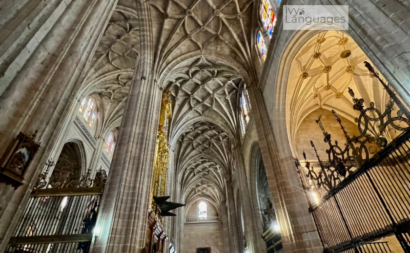 Infographic showing English for beginners (starter strategies) with daily practice tips and a simple 30-minute routine.